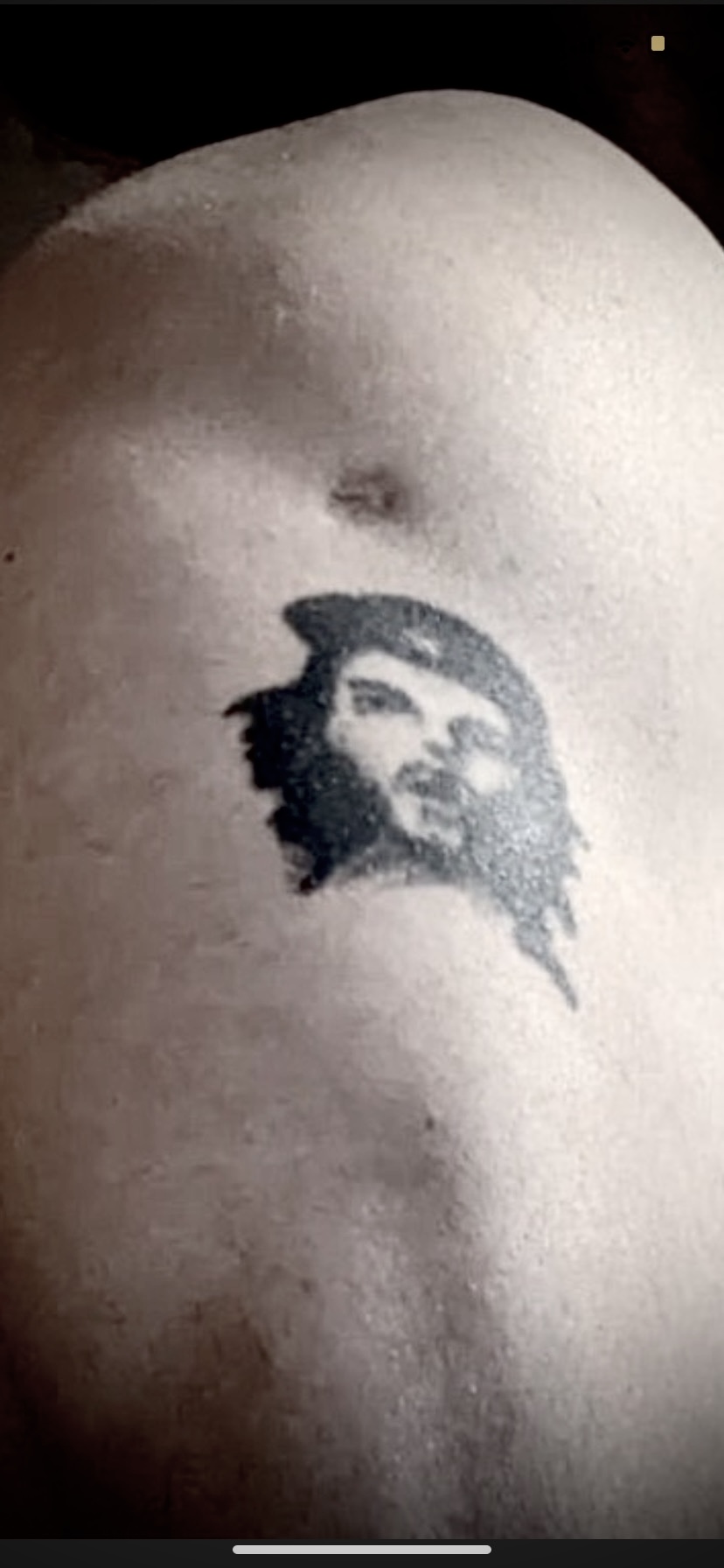 Wolf cover