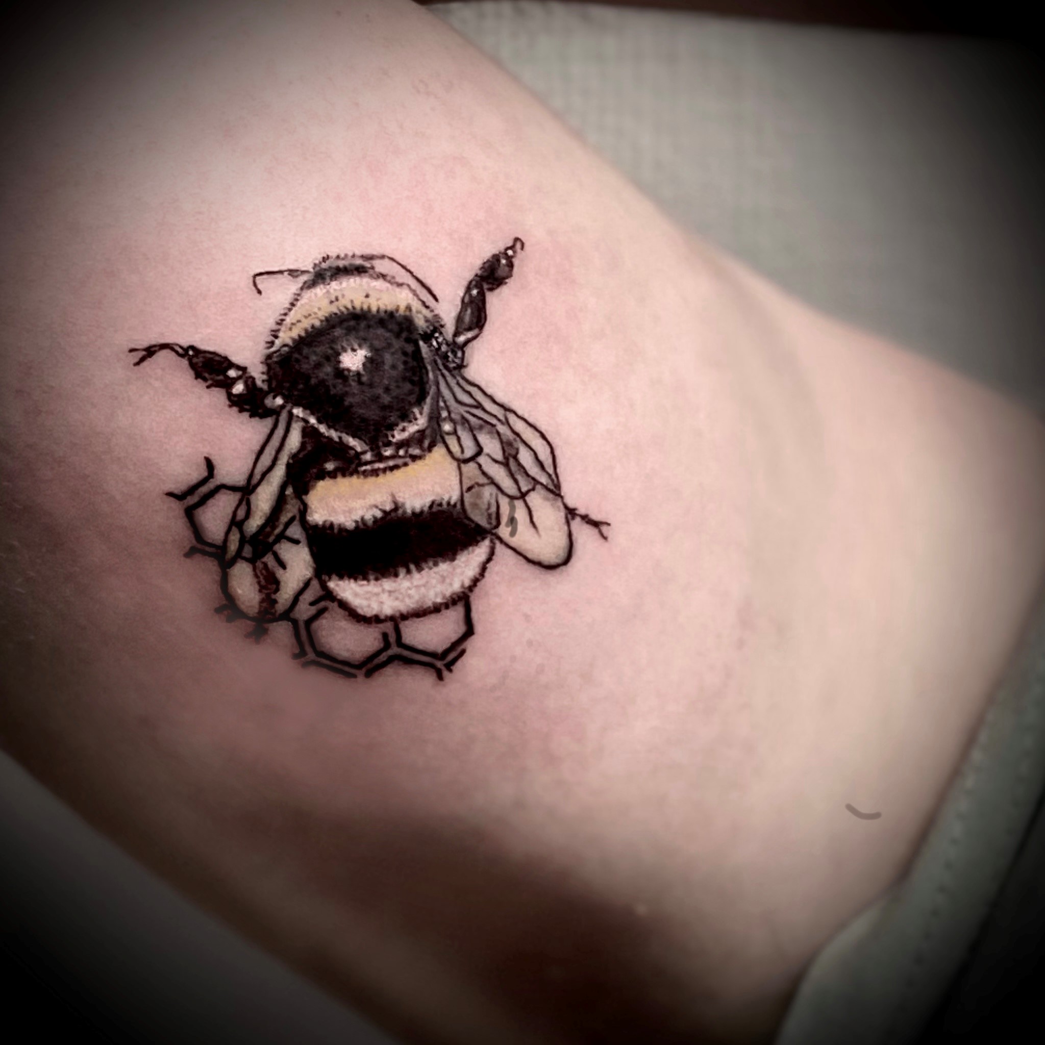bee